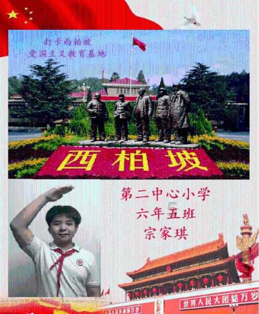 小猫钓鱼游戏龙王版有船